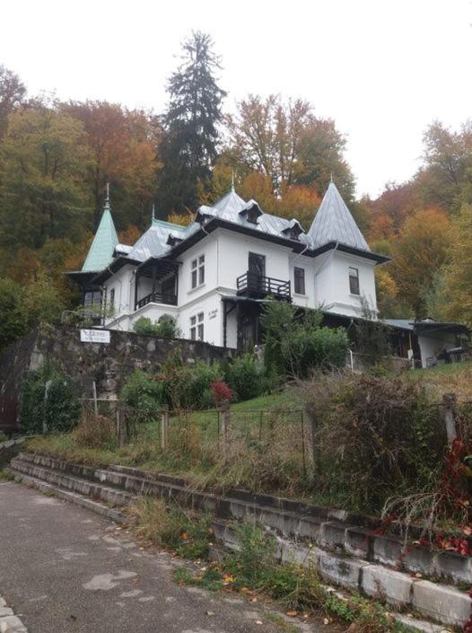 Il Piccolo Castello Buşteni Buitenkant foto