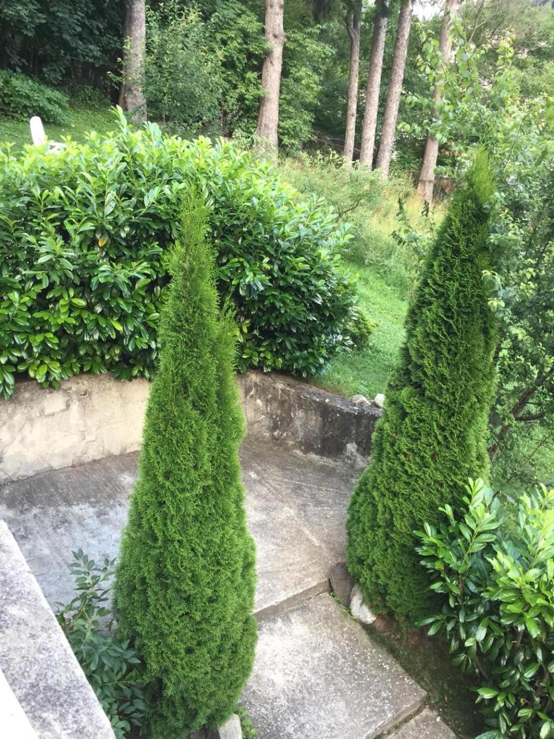 Il Piccolo Castello Buşteni Buitenkant foto