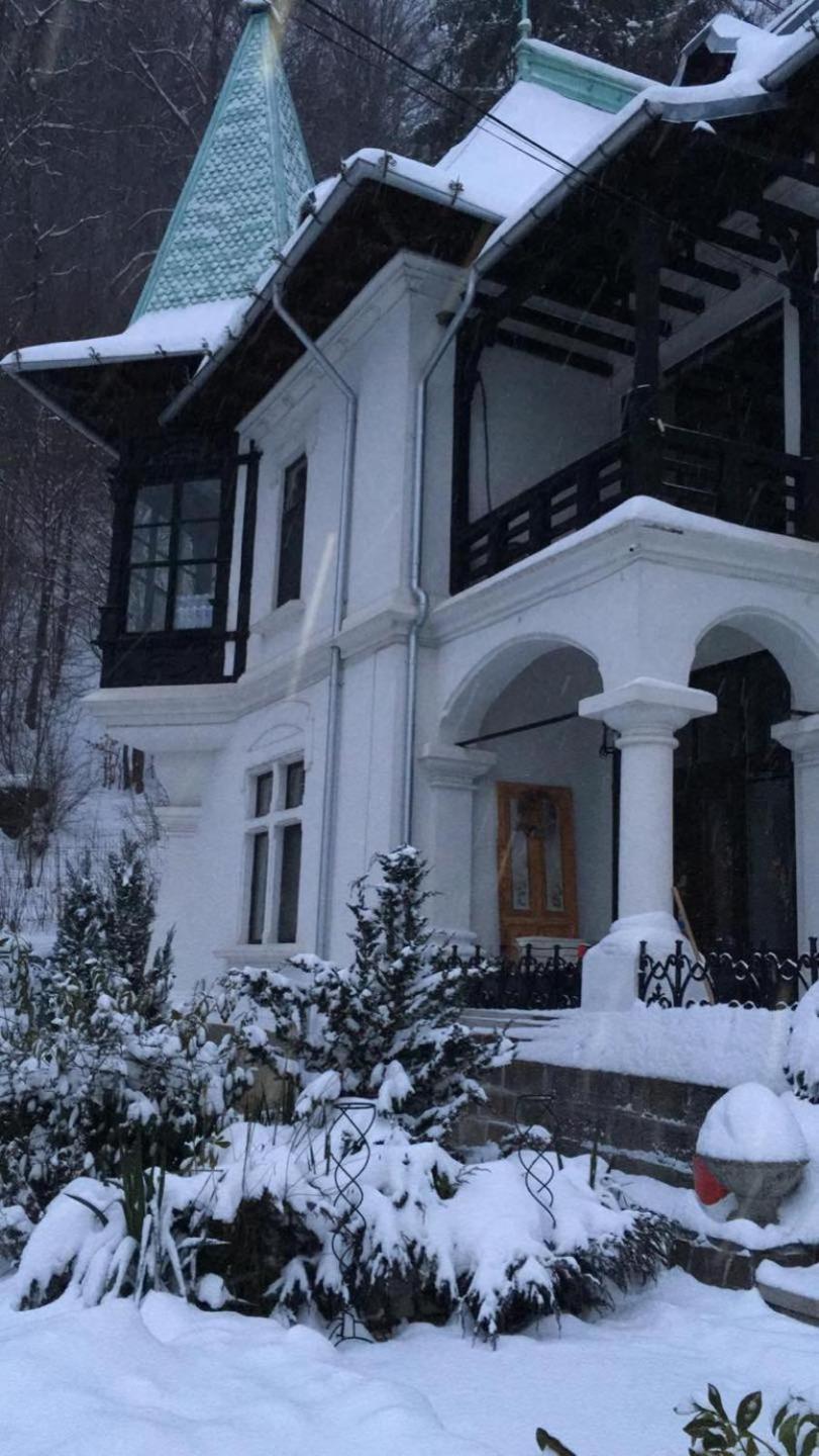 Il Piccolo Castello Buşteni Buitenkant foto