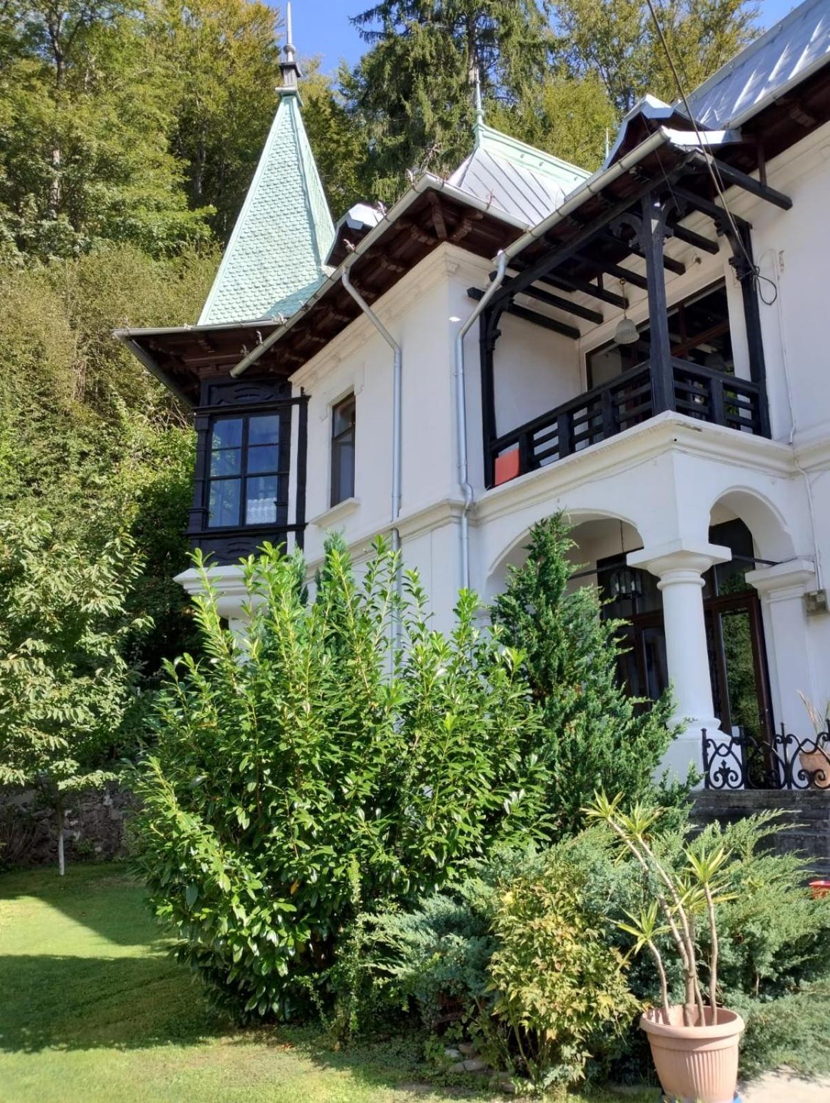 Il Piccolo Castello Buşteni Buitenkant foto